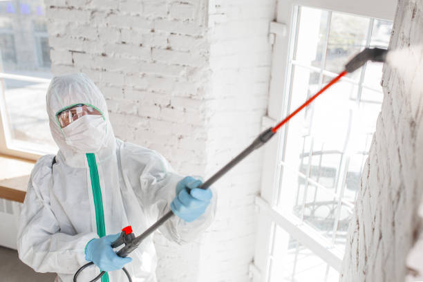 Best Comprehensive Air Testing for Mold Contaminants  in Granite Quarry, NC
