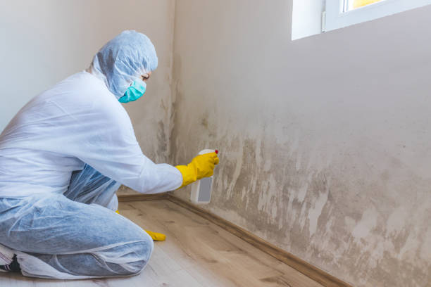 Best Mold Removal for HVAC Installations  in Granite Quarry, NC