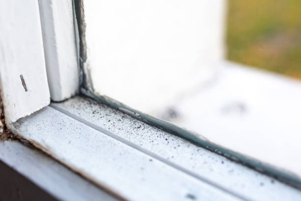 Forensic Mold Investigation in Granite Quarry, NC